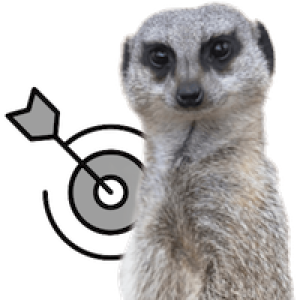 /img/meerkat_objective.png